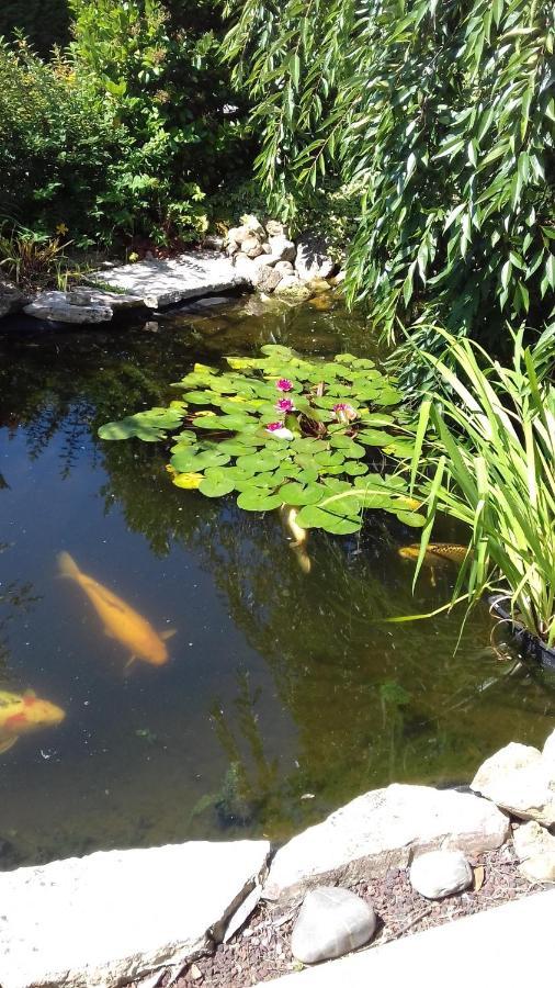 Le Jardin De Nemo Bed & Breakfast Biscarrosse Luaran gambar