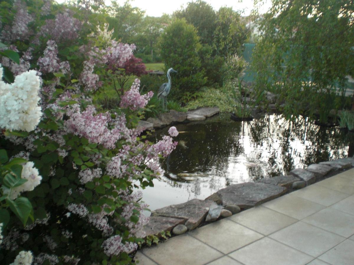 Le Jardin De Nemo Bed & Breakfast Biscarrosse Luaran gambar